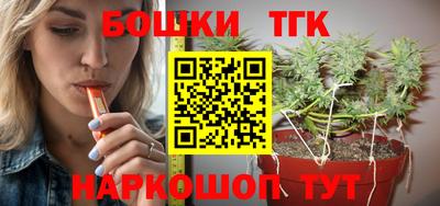 винт Партизанск