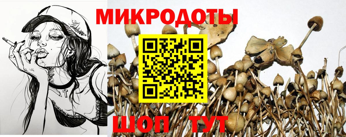 Сыктывкар  Псилоцибиновые грибы ЛСД  Вход с VPN 